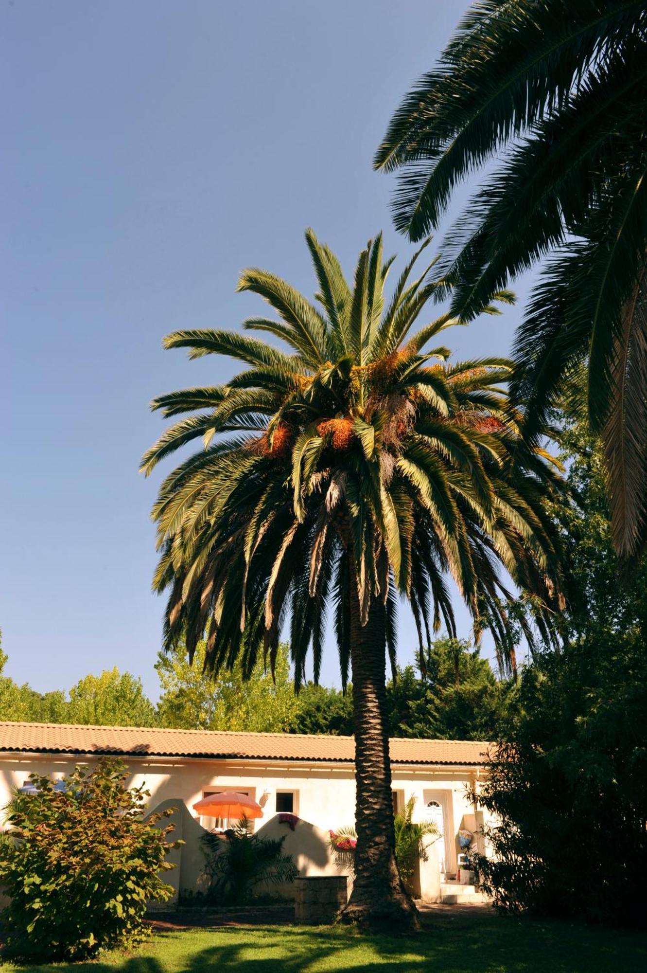 Vacanceole - Lisa Maria Vakantiepark